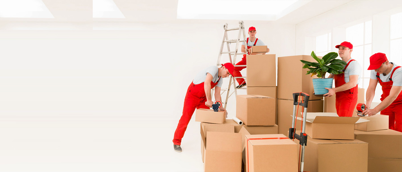 Muğla Evden Eve Nakliyat